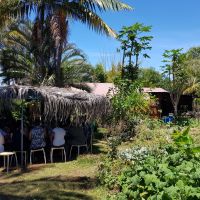 Salle de cours à la Micro Ferme Urbaine Pédagogique du Tampon avec Luca Piccin Salle de cours à la Micro Ferme Urbaine Pédagogique du Tampon avec Luca Piccin