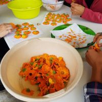 Atelier fabrication d'un macérat huileux aux calendula ou souci des jardins (Calendula Officinalis) avec Bruno Gheeraert Atelier fabrication d'un macérat huileux aux calendula ou souci des jardins (Calendula Officinalis) avec Bruno Gheeraert