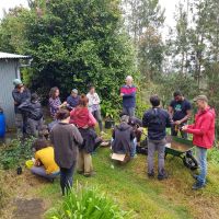 Atelier préparation des racines de vétiver (Chrysopogon Zizanioides) pour une alcoolature avec Bruno Gheeraert Atelier préparation des racines de vétiver (Chrysopogon Zizanioides) pour une alcoolature avec Bruno Gheeraert