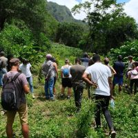 Chez le tisanier Wilfrid Thémyr au Petit Serré