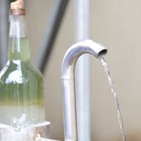 Distillation du géranium rosat à la CAHEB