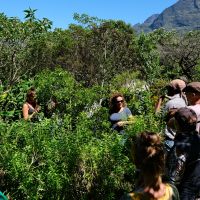 Visite du Jardin Piton Bétoum à Cilaos avec Mme Reine-Claude Gonthier