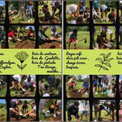 Intervention au collègue Guy Moquet