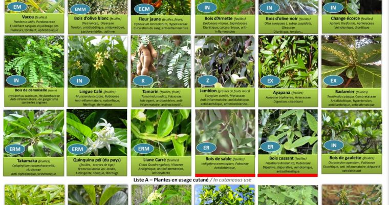 Plantes médicinales de La Réunion inscrites à la Pharmacopée Française