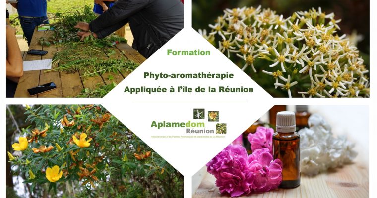 Formation en Phyto-aromathérapie appliquée à l’île de la Réunion